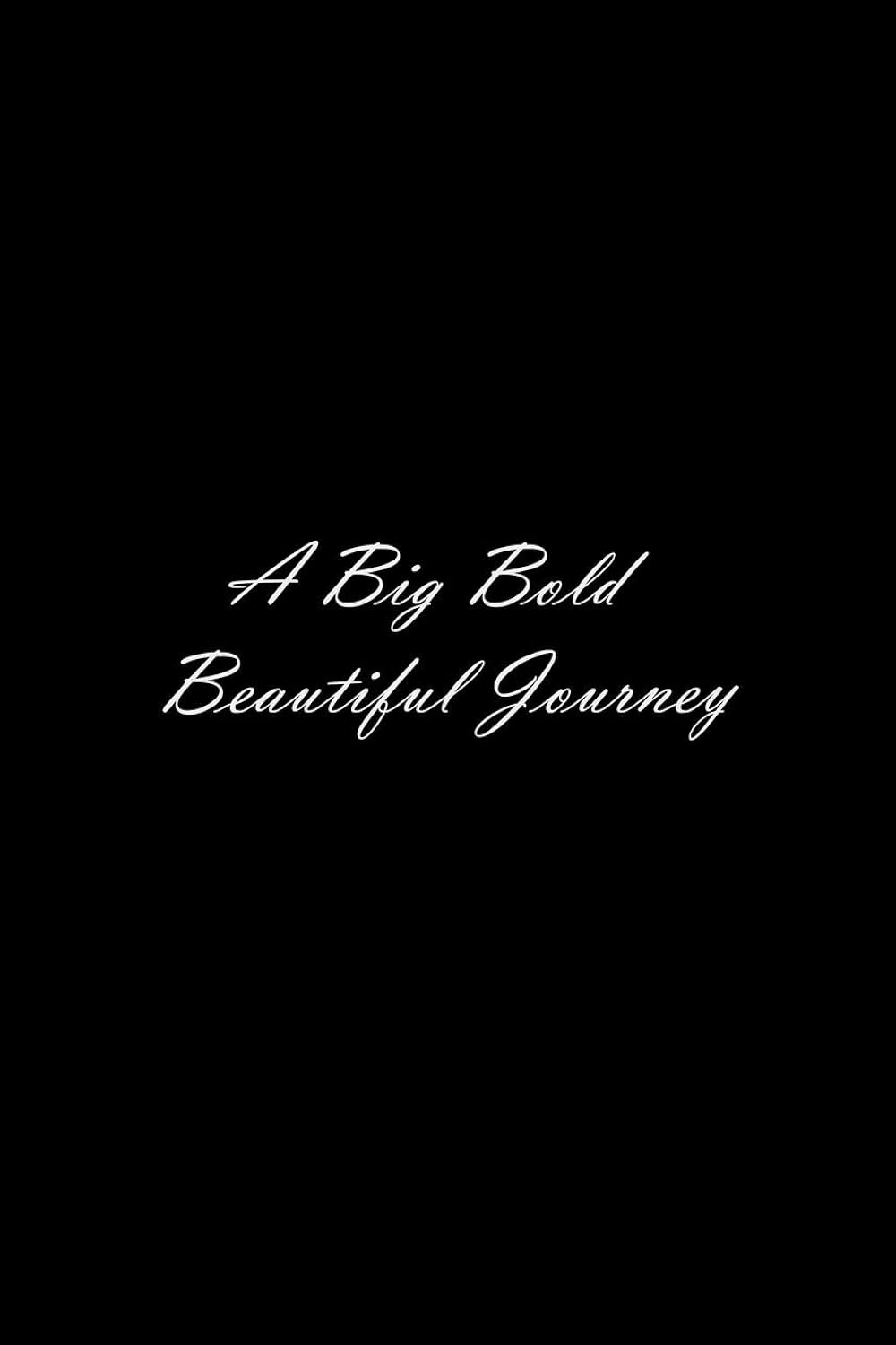 A Big Bold Beautiful Journey Movie Poster