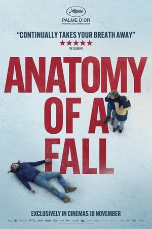 Anatomy of a Fall Movie Poster