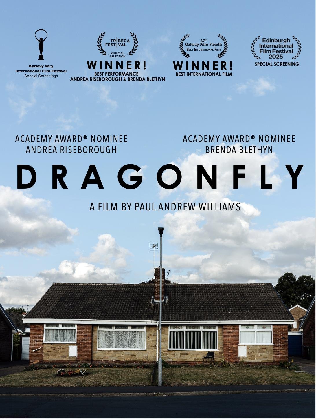 Dragonfly Movie Poster