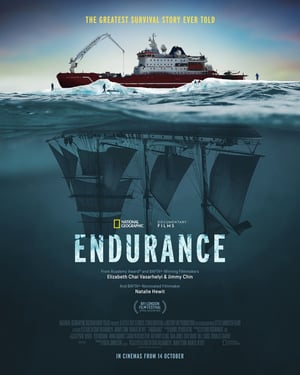 Endurance Movie Poster