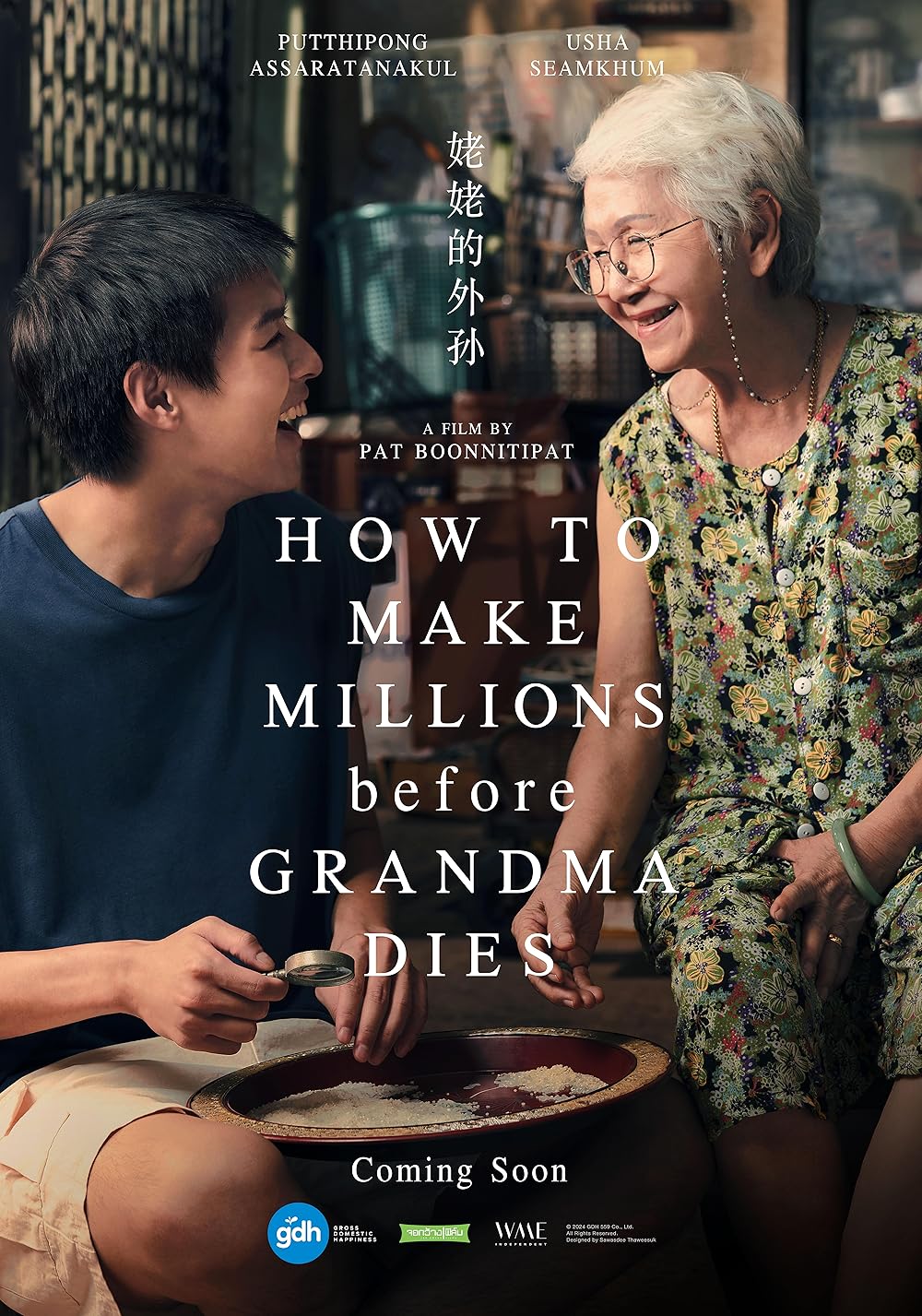 How To Make Millions Before Grandma Dies Movie Poster