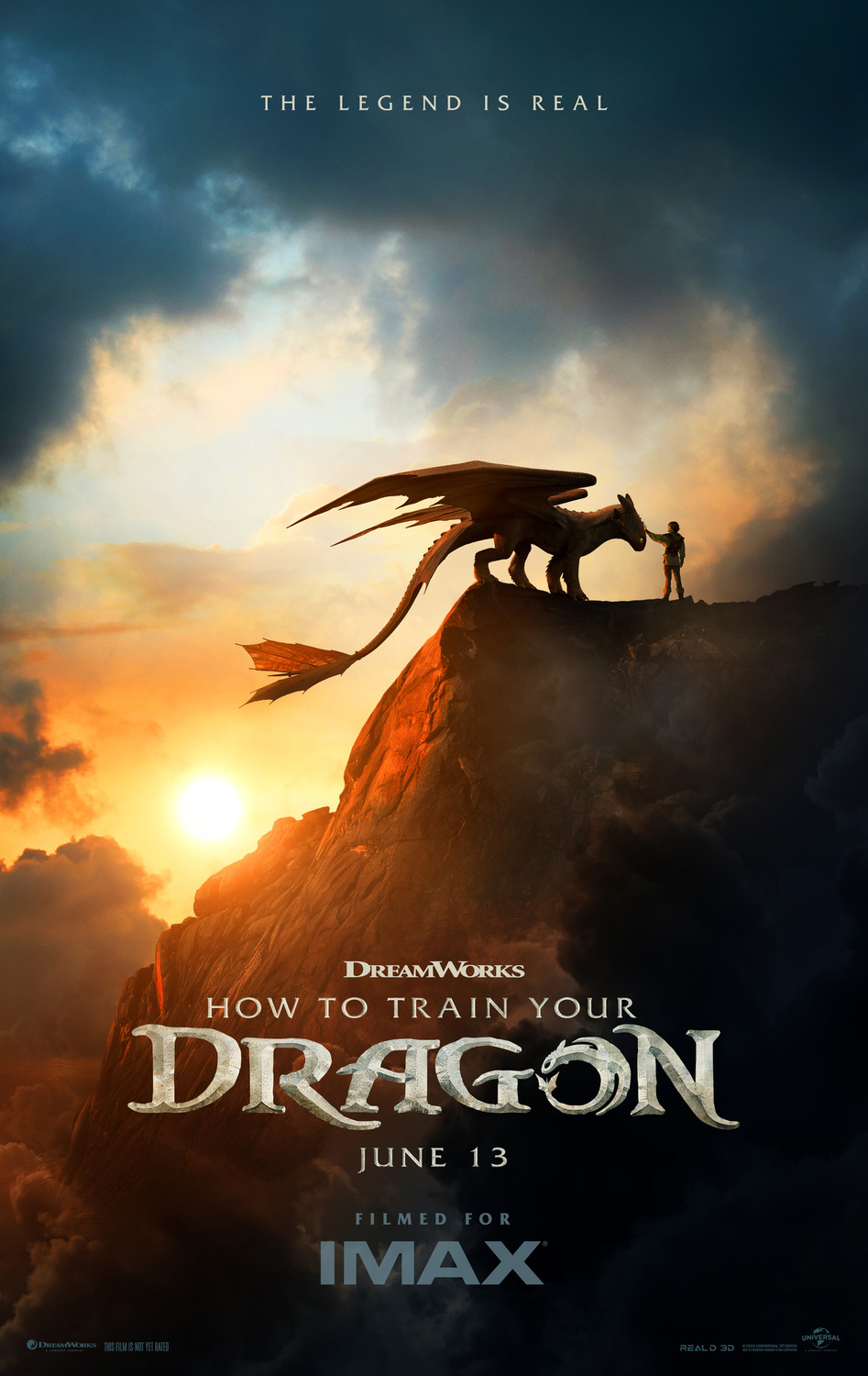 How to Train Your Dragon Movie Poster