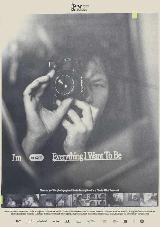 I'm Not Everything I Want to Be Movie Poster