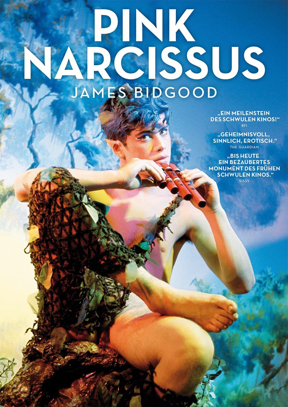 Pink Narcissus Movie Poster
