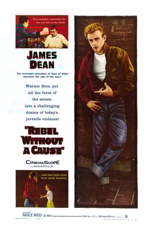 Rebel Without a Cause Movie Poster