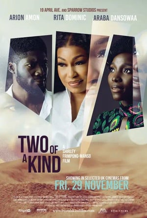 Two Of A Kind Movie Poster